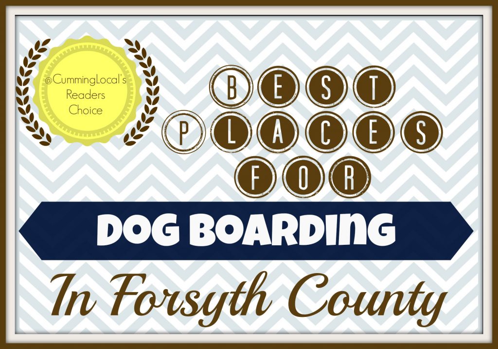 Best Places for Dog Boarding in Forsyth County - Cumming Local