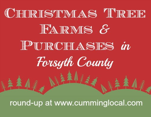 10+ Places To Find Christmas Trees in Forsyth County {2022}