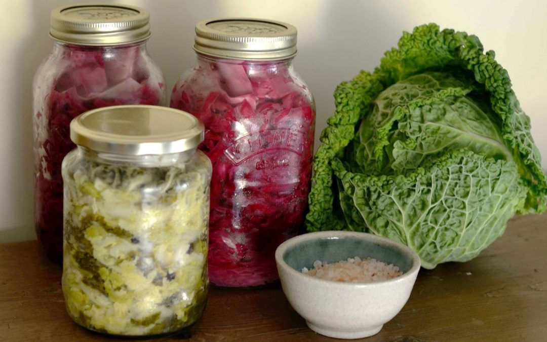 Foundations of Fermentation: Farm to Table series with UGA Extension